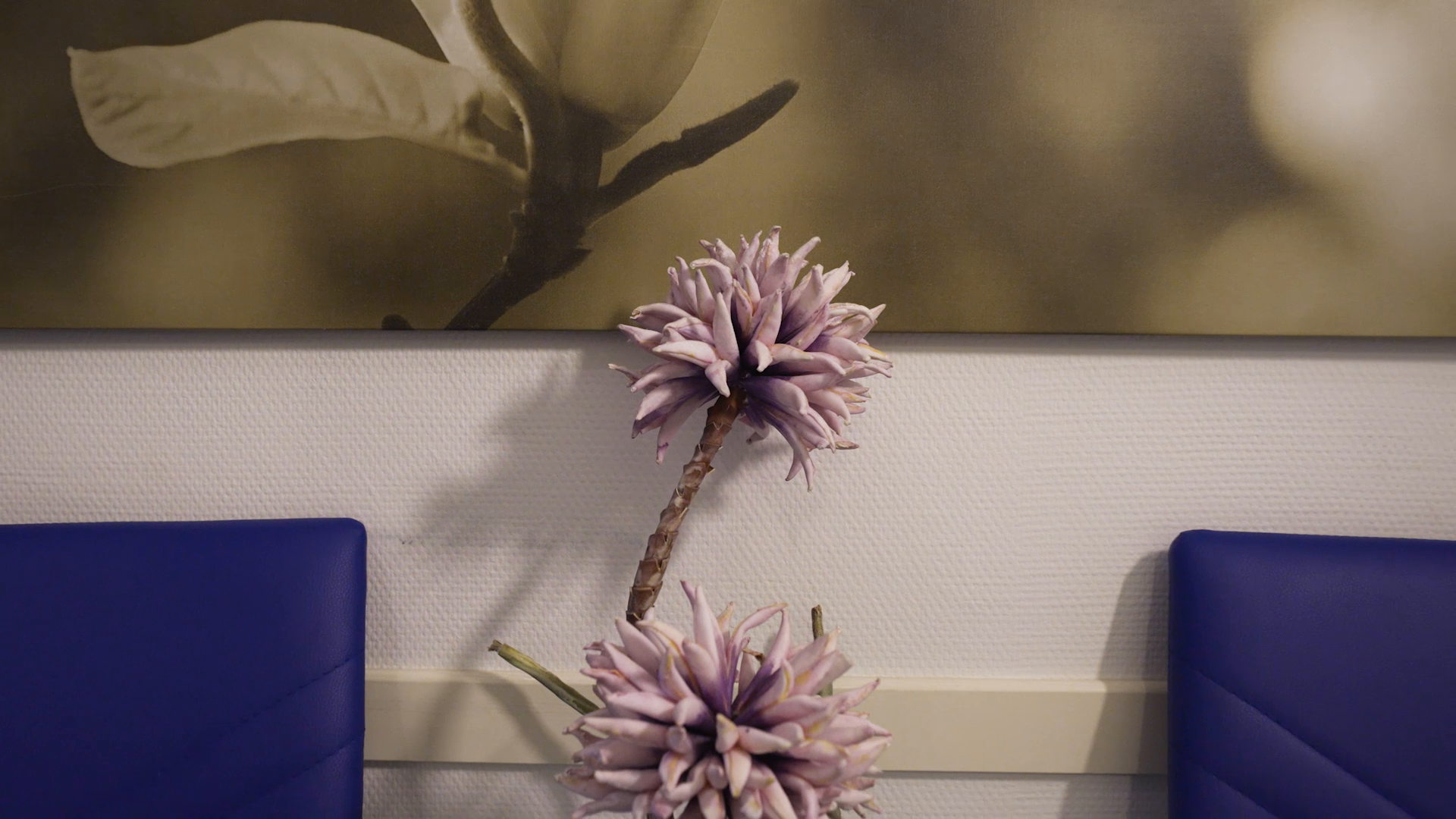 What is Lorem Ipsum?